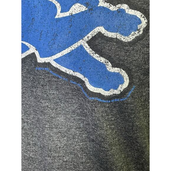 2014 NFL Team Apparel Detroit Lions Football Graphic T-Shirt Men's Size Medium - Picture 8 of 8